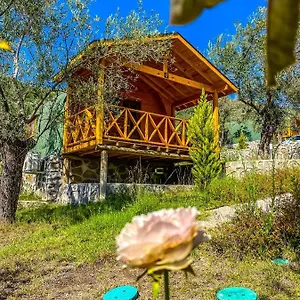 Resort Kazdaglari Saglikli Yasam Koeyue 